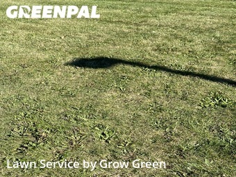 Lawn Service nearby South Milwaukee, WI, 