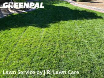 Lawn Mow nearby Albuquerque, NM, 