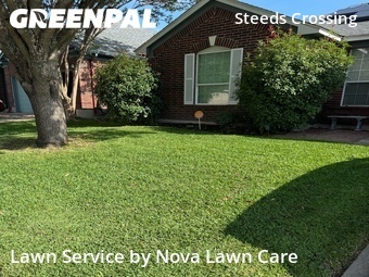 Grass Cut nearby Pflugerville, TX, 