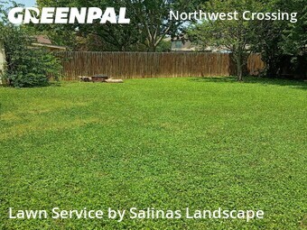 Lawn Mowing Service nearby San Antonio, TX, 