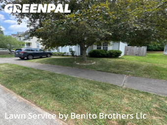 Lawn Cut nearby Durham, NC, 