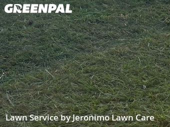 Grass Cut nearby Burleson, TX, 