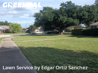 Lawn Maintenancein Wylie,75098,Lawn Service by Edgar Ortiz Sanchez, work completed in Nov , 2025