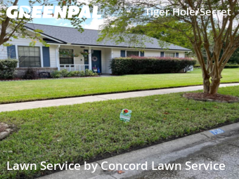 Yard Cutting nearby Jacksonville, FL, 