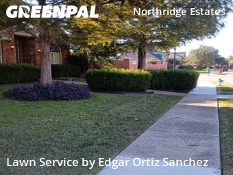 Lawn Care Servicein Plano,75024,Lawn Mowing Service by Edgar Ortiz Sanchez, work completed in Oct , 2025