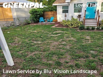 Lawn Care Servicein Tampa,33604,Lawn Mowing Service by Blu' Vision Landscape, work completed in Jun , 2026