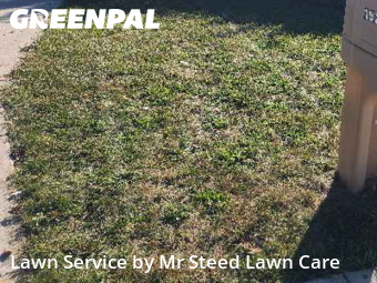 Yard Upkeep in Troy, 48083, Yard Care Services by Mr Steed Lawn Care, work completed in Nov , 2025