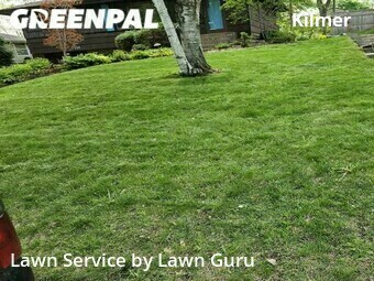 Yard Cutting nearby Minneapolis, MN, 