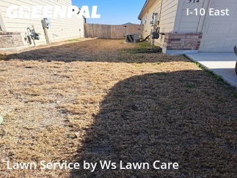 Backyard Landscaping In San Antonio,78219,Landscaping Services by Ws Lawn Care, work completed in Feb , 2026