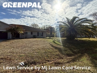 Lawn Cut nearby Palm Bay, FL, 