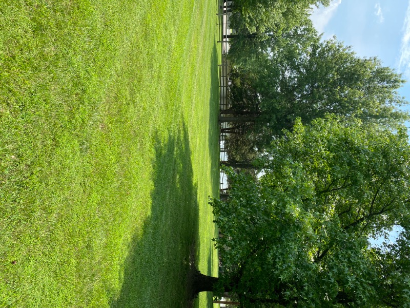 the-yard-cutting-businesses-in-Columbia-MO