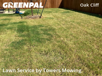Lawn Care nearby Dallas, TX, 