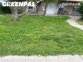 Lawn Mow nearby Kansas City, KS, 
