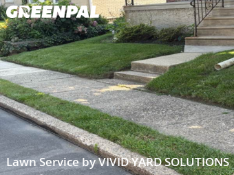 Yard Grooming in Melrose Park, 19027, Yard Cutting by VIVID YARD SOLUTIONS, work completed in Nov , 2025