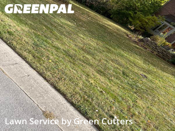 Lawn Maintenance nearby Indianapolis, IN, 