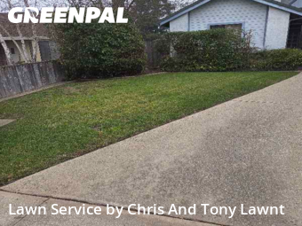 Work completed by local-lawn-and-landscape-maintenance-services-near-me-in-Lodi-CA