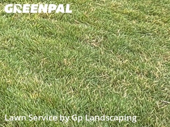 Lawn Carein Gastonia,28054,Yard Cutting by Gp Landscaping, work completed in Jul , 2026