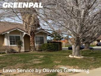 Work completed by lawn-care-experts-near-me-in-Palmdale-CA