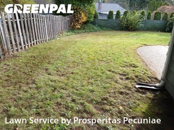 Lawn Work in Olympia, 98503, Property Maintenance by Prosperitas Pecuniae, work completed in Dec , 2025