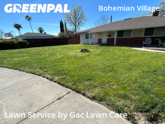 Lawn Cut nearby Sacramento, CA, 