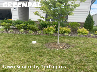 Yard Mowing nearby Nashville, TN, 