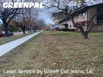 Lawn Mowing nearby Delavan, IL, 