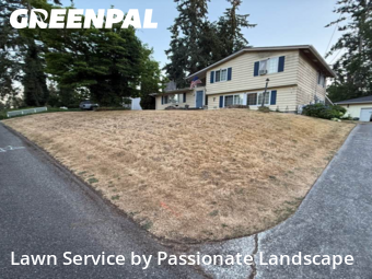 Lawn Care in Lacey, 98503, Lawn Work by Passionate Landscape, work completed in Nov , 2025