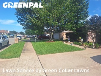 Lawn Mowing nearby Grand Prairie, TX, 