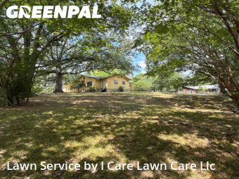 Lawn Mow nearby Forestdale, AL, 