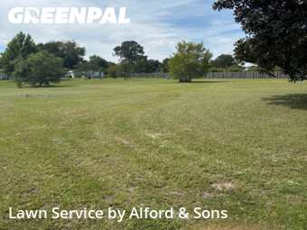 Yard Cutting nearby Gainesville, FL, 