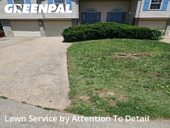 Lawn Cutting nearby Blue Springs, MO, 