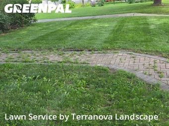 Lawn Cuttingin Elgin,60120,Lawn Care Service by Terranova Landscape, work completed in Nov , 2025