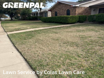 Grass Cutting nearby The Colony, TX, 