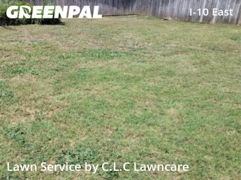 Lawn Mow nearby Converse, TX, 