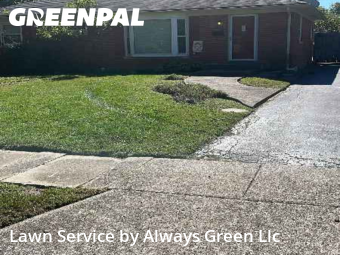 Lawn Cut nearby Lexington, KY, 