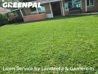 Lawn Mow nearby Hollywood, FL, 