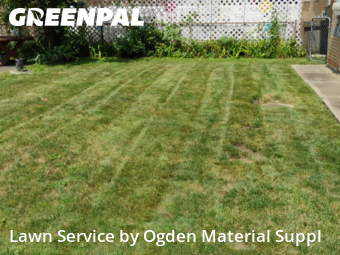 Lawn Care nearby Berwyn, IL, 