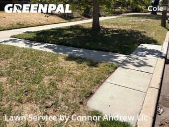 Lawn Mowing nearby Denver, CO, 
