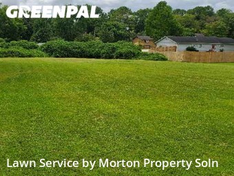 Yard Cutting nearby Douglasville, GA, 