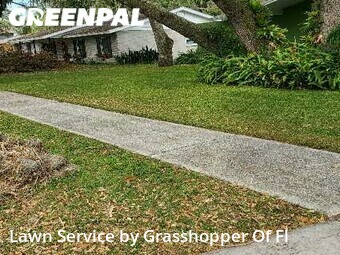 Lawn Care Service nearby Brandon, FL, 