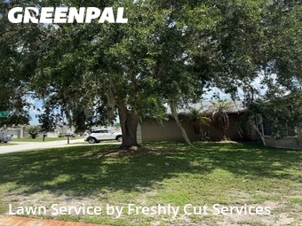 Lawn Mow nearby Lakeland, FL, 