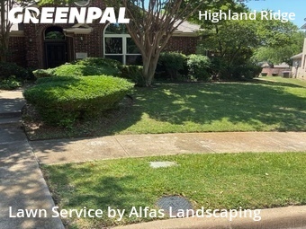Yard Mowingin Plano,75025,Lawn Mow by Alfas Landscaping, work completed in Jun , 2026