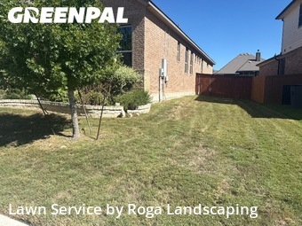 Grass Cut nearby Cibolo, TX, 