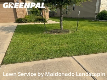 Lawn Mow nearby Katy, TX, 