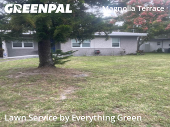 Yard Care in Daytona Beach, 32114, Property Maintenance by Everything Green , work completed in Nov , 2025