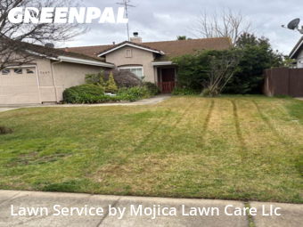 local-lawn-cutting-services-in-Woodland-CA
