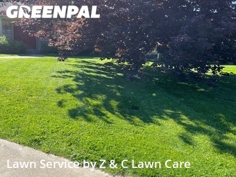 Grass Cut nearby Louisville, KY, 
