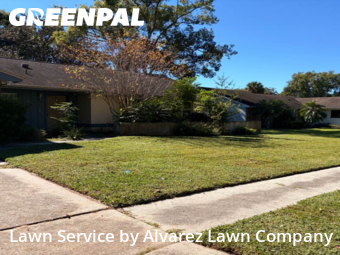 Yard Mowingin Altamonte Springs,32701,Yard Cutting by Alvarez Lawn Company, work completed in Nov , 2025