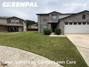 Lawn Cut nearby San Antonio, TX, 