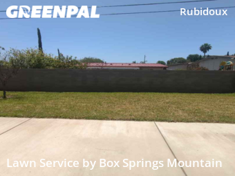 Yard Cutting nearby Riverside, CA, 